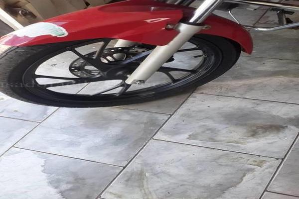 1019_2025-02-09T224015.253-0300