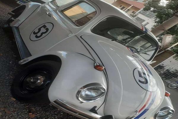 1019_2025-02-09T224038.962-0300