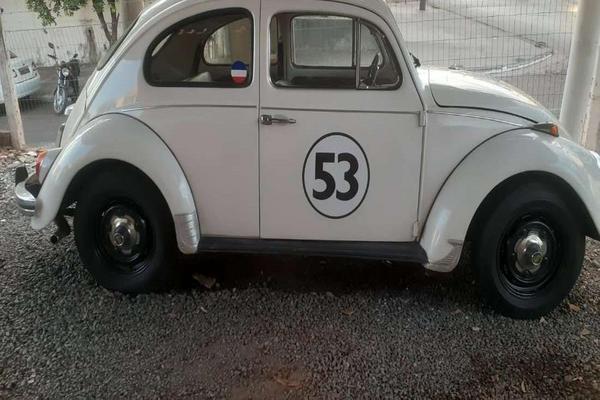 1019_2025-02-09T224038.963-0300