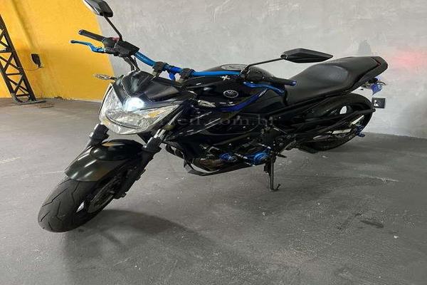 1021_2025-02-09T224644.174-0300