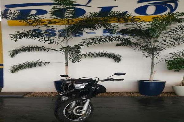 1048_2025-02-09T233726.063-0300