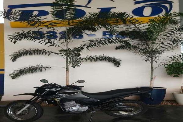 1048_2025-02-09T233726.065-0300