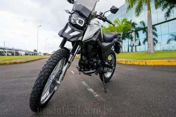 1103_2025-02-10T020047.822-0300