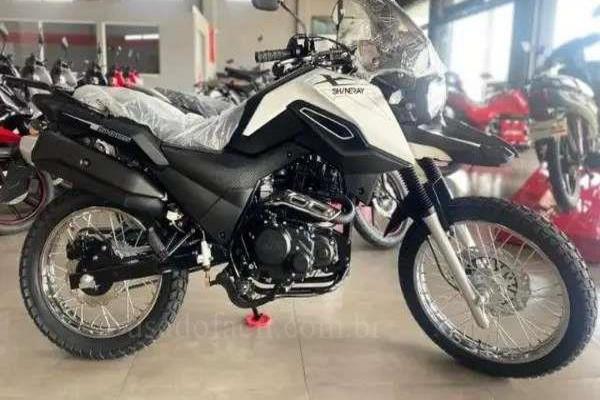 1103_2025-02-10T020047.826-0300