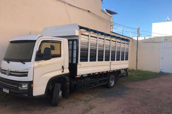 1118_2025-02-10T022202.395-0300