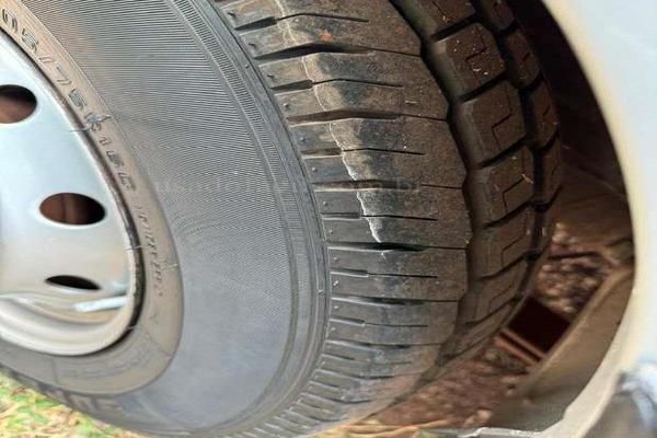 1130_2025-02-10T024109.776-0300