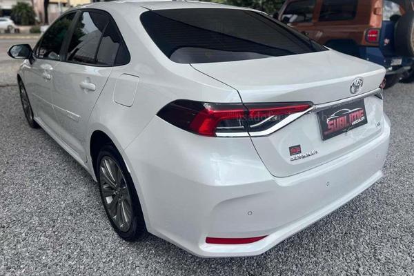 1136_2025-02-10T025308.245-0300