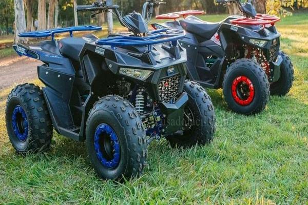 1141_2025-02-10T030508.932-0300