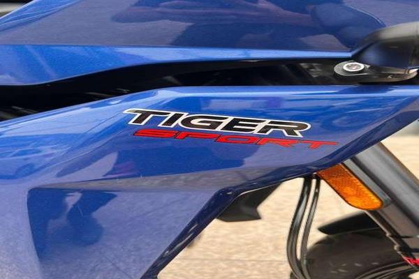 1141_2025-02-10T030551.429-0300