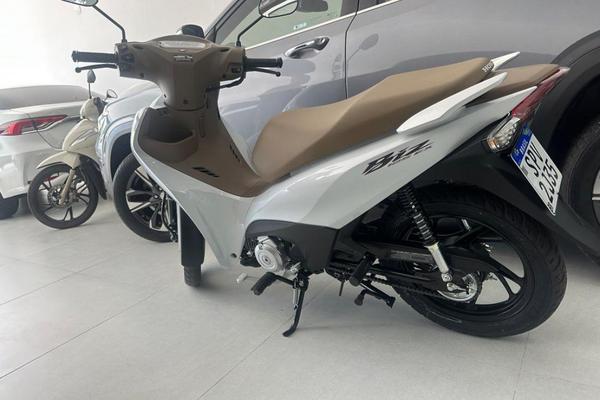 1151_2025-02-10T032545.542-0300-1