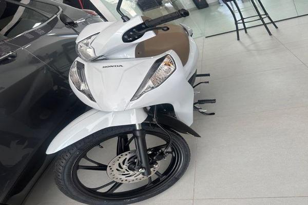 1151_2025-02-10T032545.542-0300