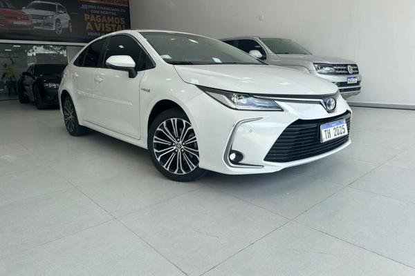 1151_2025-02-10T032554.170-0300