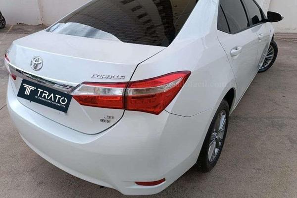 1163_2025-02-10T034628.191-0300