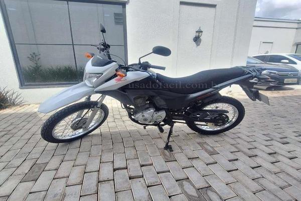 1163_2025-02-10T034847.338-0300