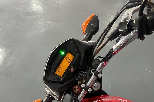 1194_2025-02-10T045259.341-0300