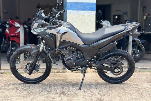 650_2025-02-09T032810.613-0300