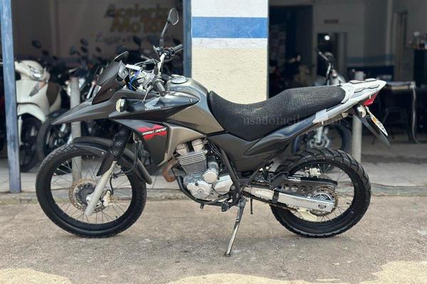 650_2025-02-09T032823.009-0300-1