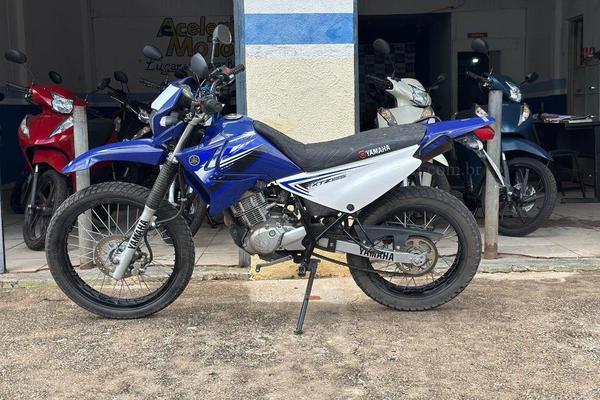 650_2025-02-09T032827.443-0300