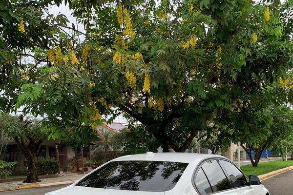 655_2025-02-09T033528.398-0300