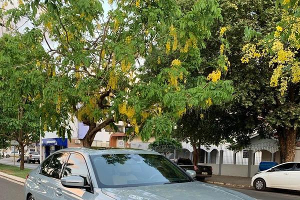 655_2025-02-09T033533.405-0300