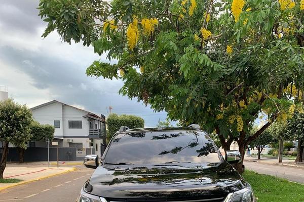 655_2025-02-09T033730.144-0300