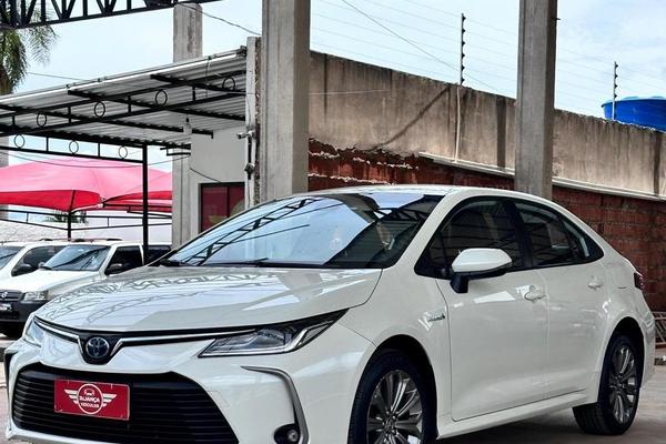 660_2025-02-09T034719.124-0300