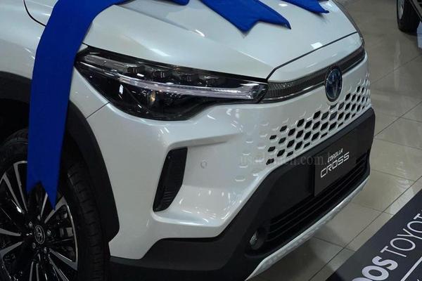 669_2025-02-09T040327.536-0300