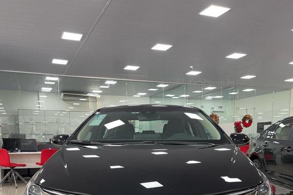 669_2025-02-09T040346.972-0300