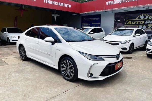 695_2025-02-09T044438.643-0300