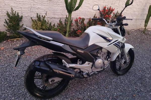 701_2025-02-09T050128.000-0300