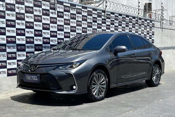 713_2025-02-09T051621.343-0300