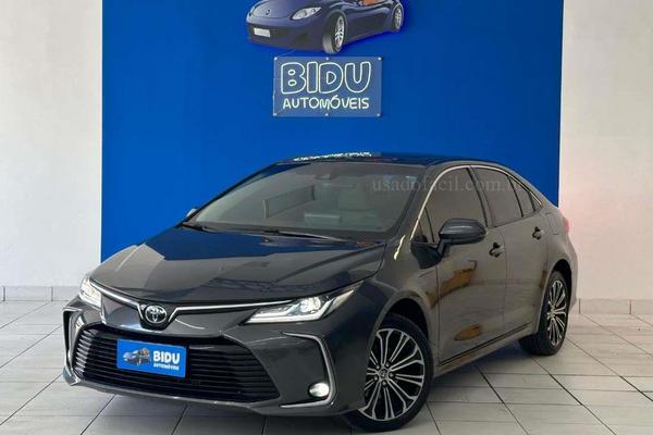 718_2025-02-09T052946.926-0300