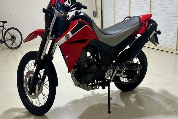 723_2025-02-09T055005.870-0300