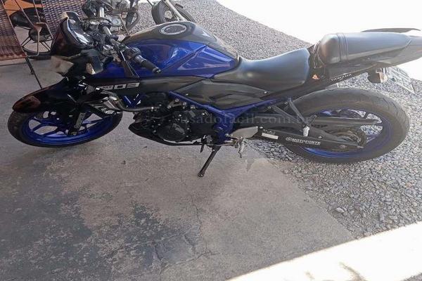 724_2025-02-09T055422.365-0300