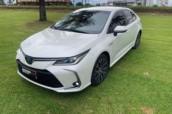 725_2025-02-09T055915.511-0300