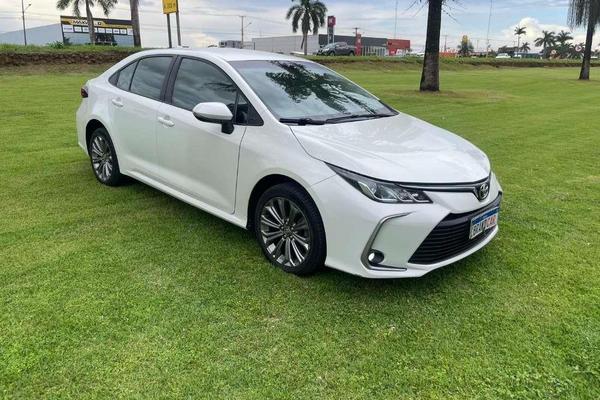 725_2025-02-09T055919.745-0300