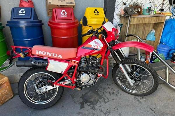 725_2025-02-09T060129.056-0300