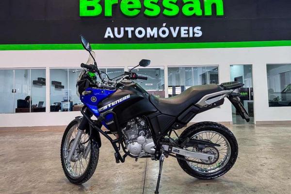 732_2025-02-09T061619.252-0300