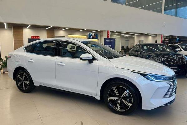 738_2025-02-09T062706.308-0300