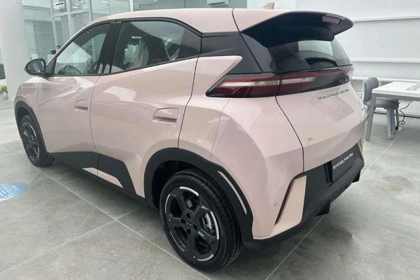 738_2025-02-09T062843.393-0300