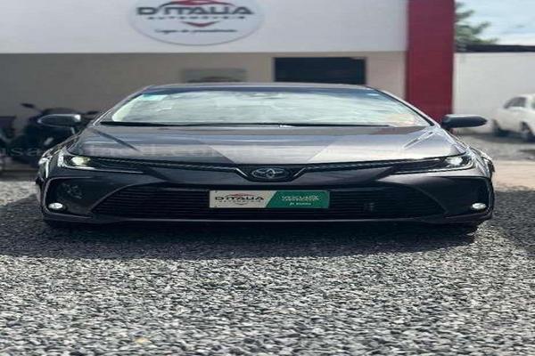 806_2025-02-09T150239.185-0300