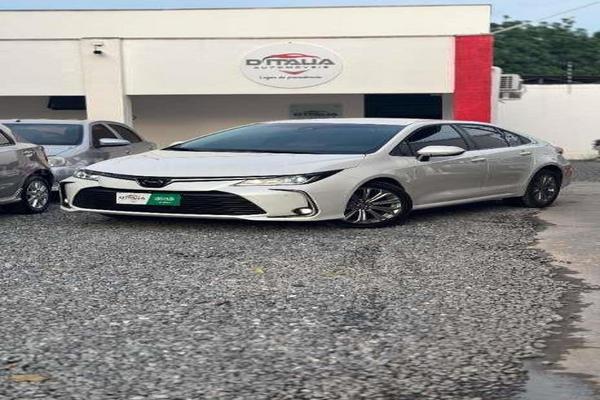 806_2025-02-09T150250.504-0300