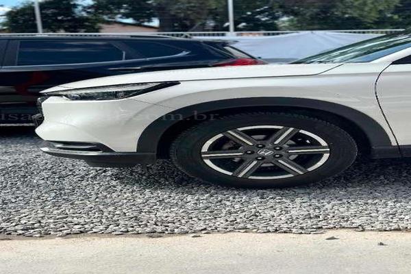 806_2025-02-09T150328.870-0300