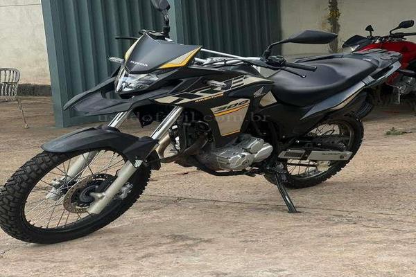 812_2025-02-09T151549.897-0300