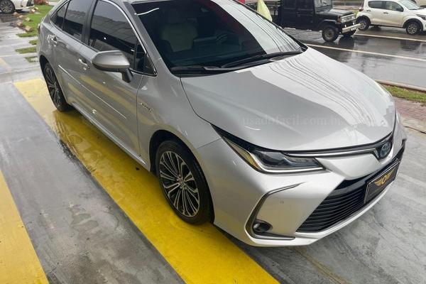 831_2025-02-09T155153.449-0300