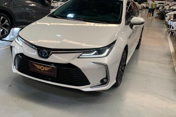 831_2025-02-09T155157.403-0300