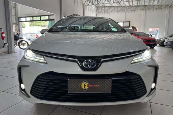 851_2025-02-09T162701.949-0300