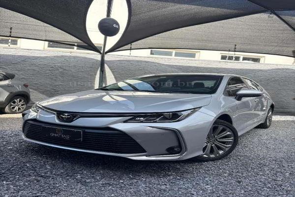 869_2025-02-09T173120.155-0300