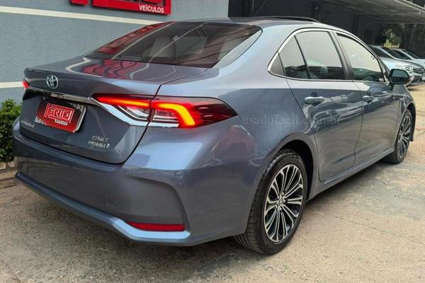 892_2025-02-09T181644.559-0300