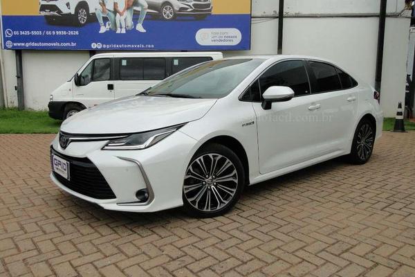 893_2025-02-09T181933.223-0300